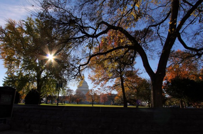 Capitol during day
