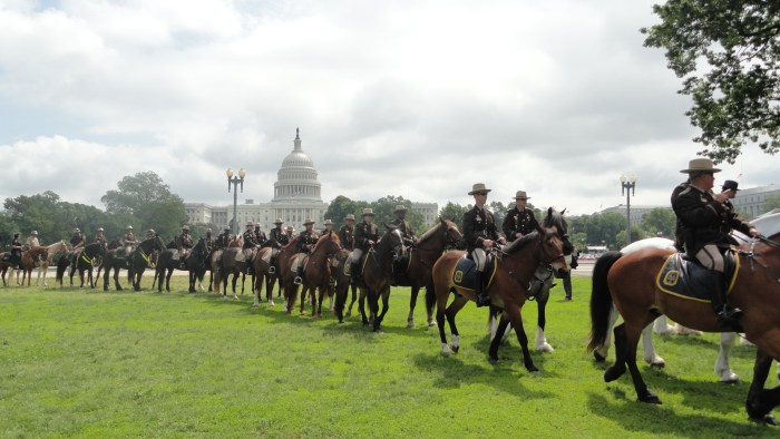 Parade of mounted police officers